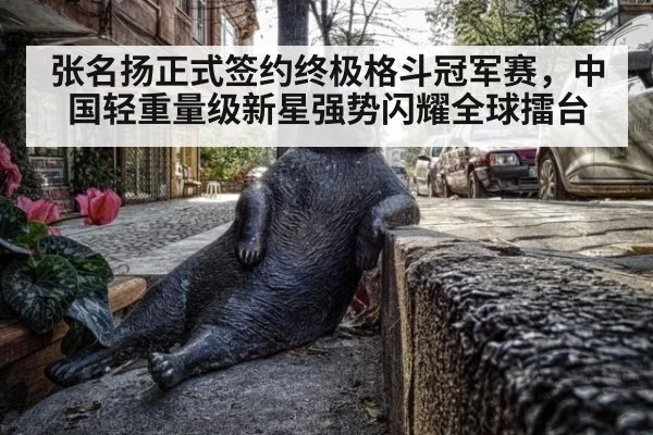 张名扬正式签约终极格斗冠军赛,中国轻重量级新星强势闪耀全球擂台