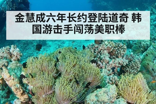 金慧成六年长约登陆道奇 韩国游击手闯荡美职棒